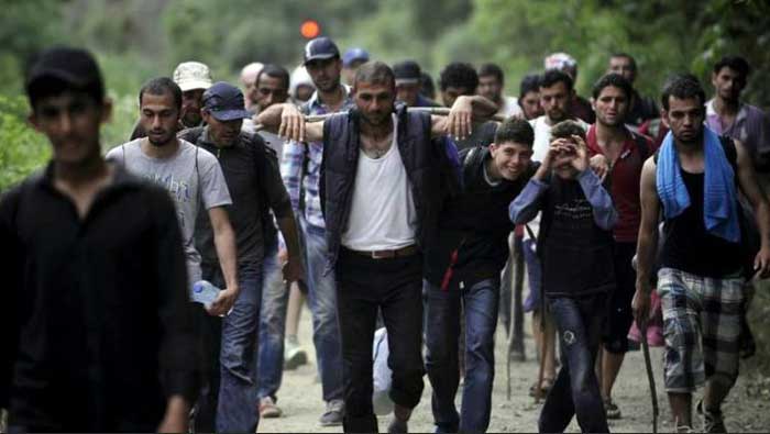 migranti