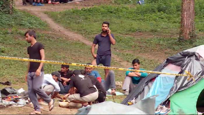migranti