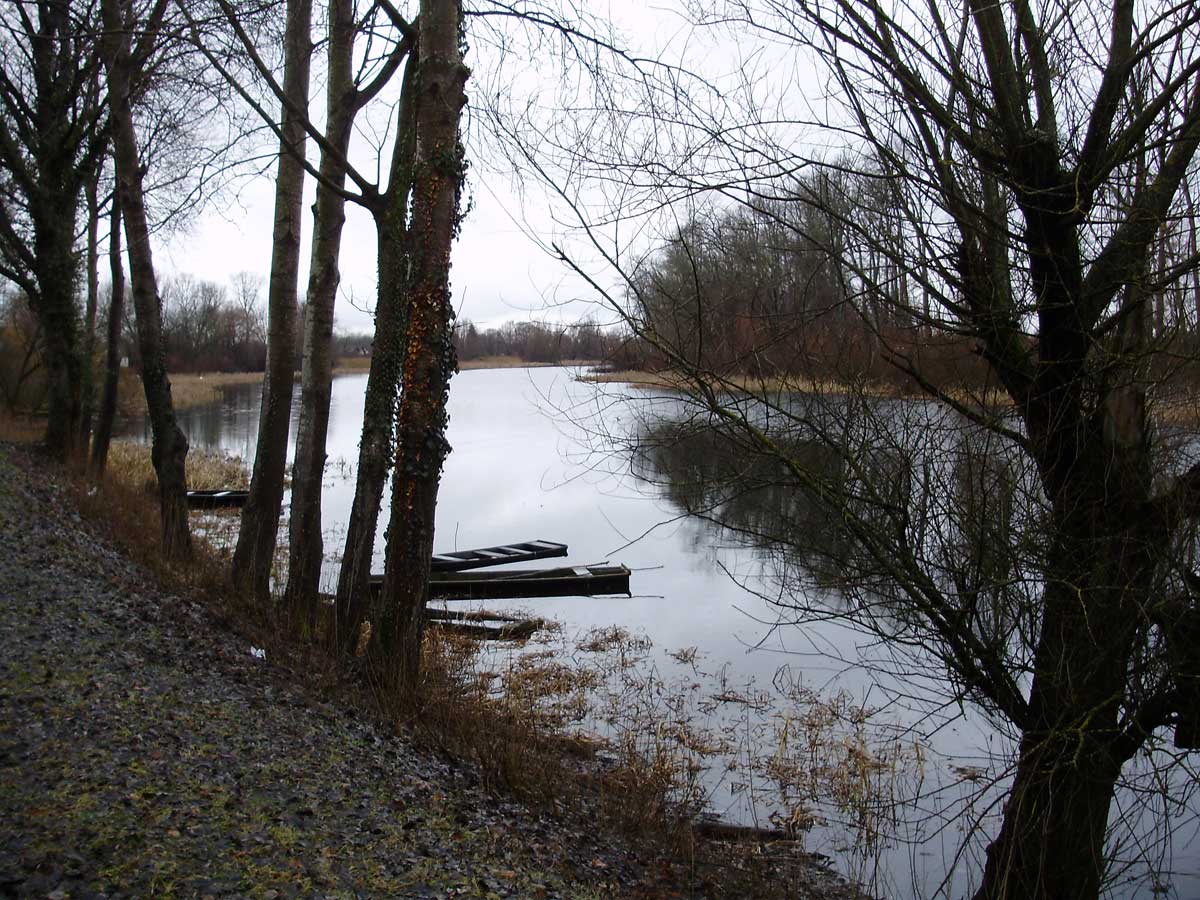 Spačva