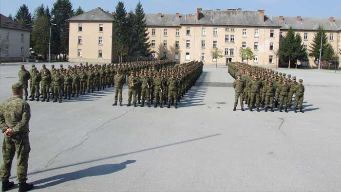 Dragovoljni ročnici