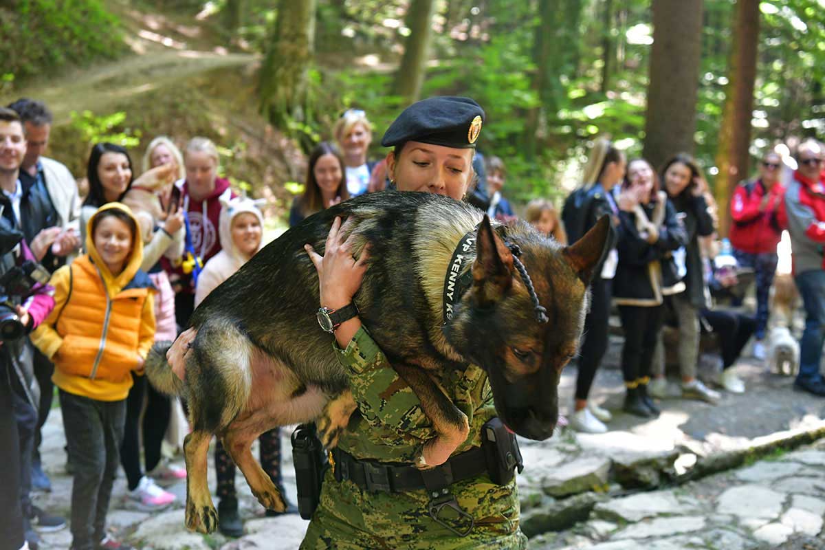Službeni psi Hrvatske vojske