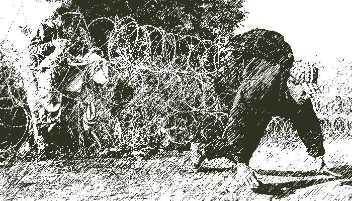 Imigranti