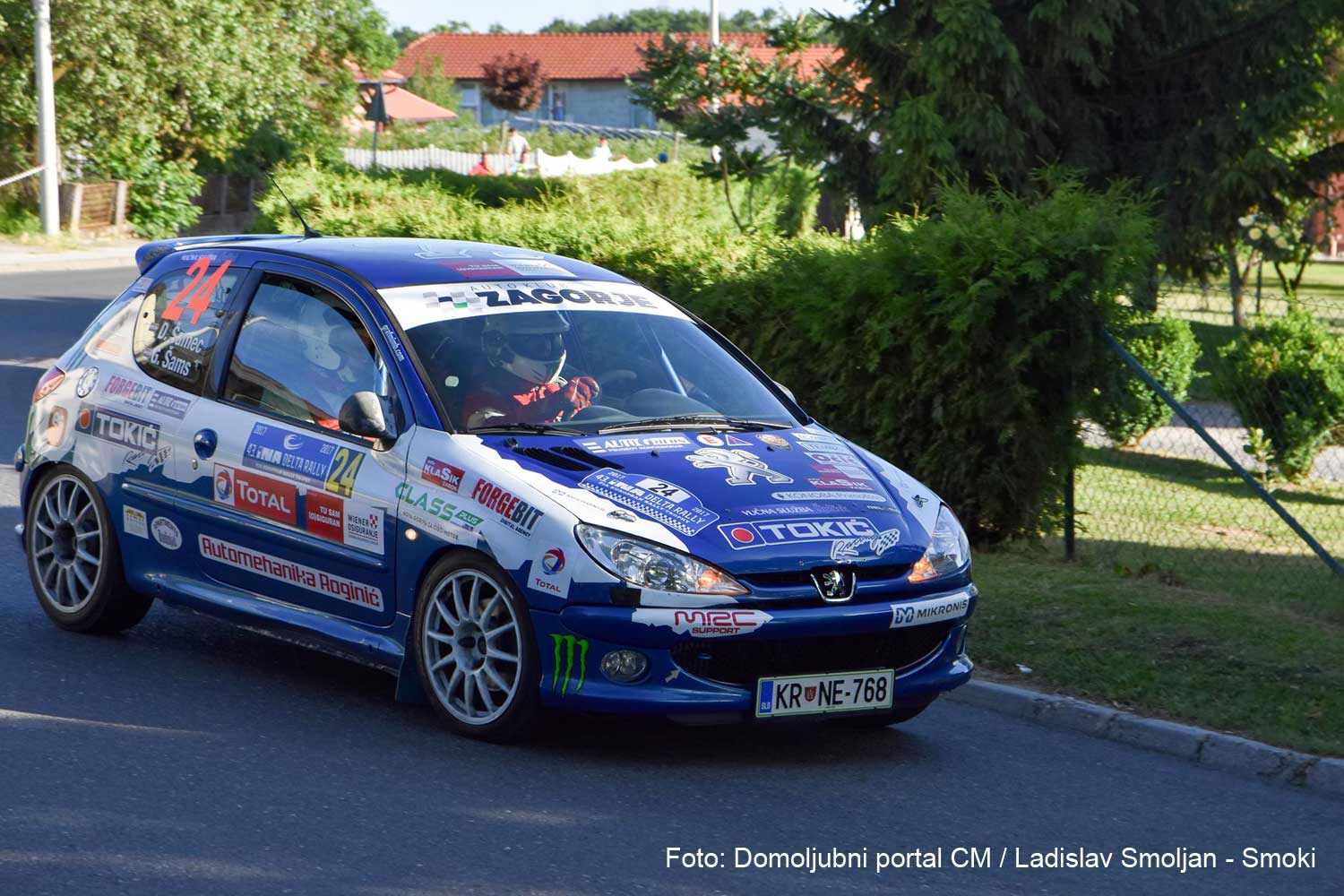 INA Delta Rally