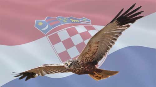 Dimitrija Demeter
