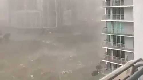 Irma