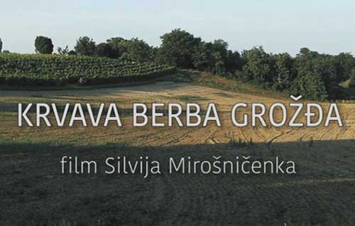 Krvava berba grožđa